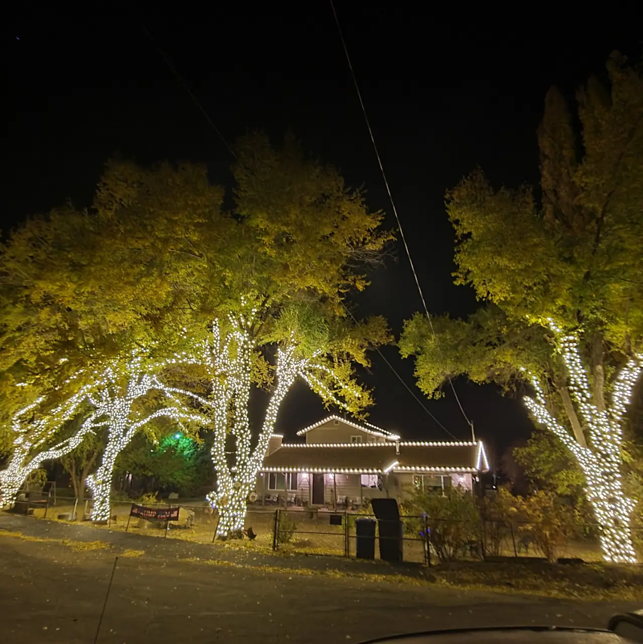 Hedge & Bush Lighting
